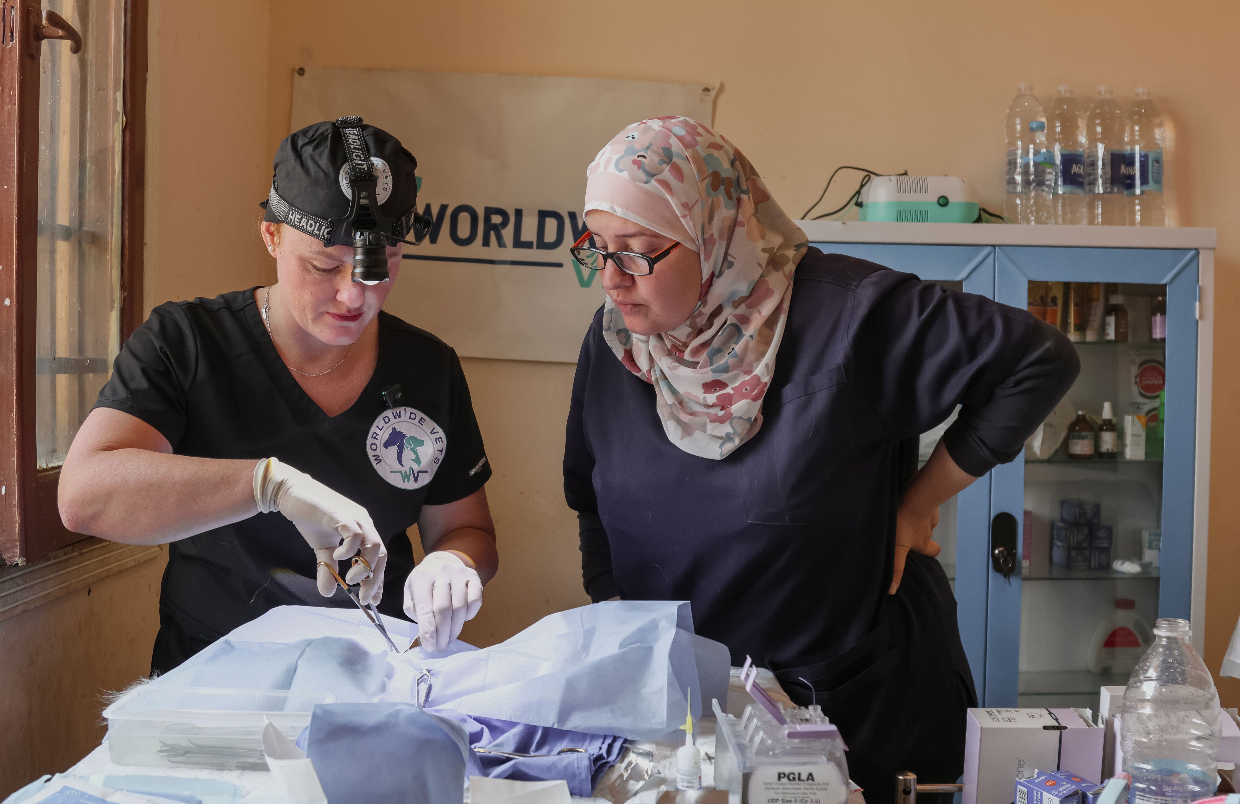 MDF Instruments Crafting Wellness Partner Worldwide Vets in Egypt