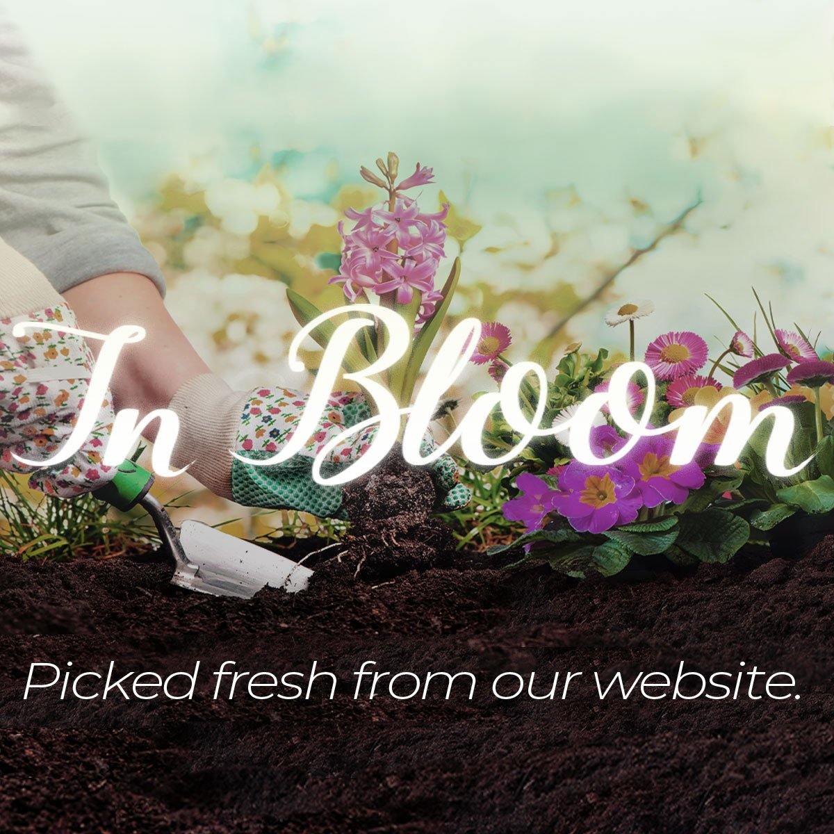BUY {{ product.product_type }} - In Bloom Stethoscope Collection