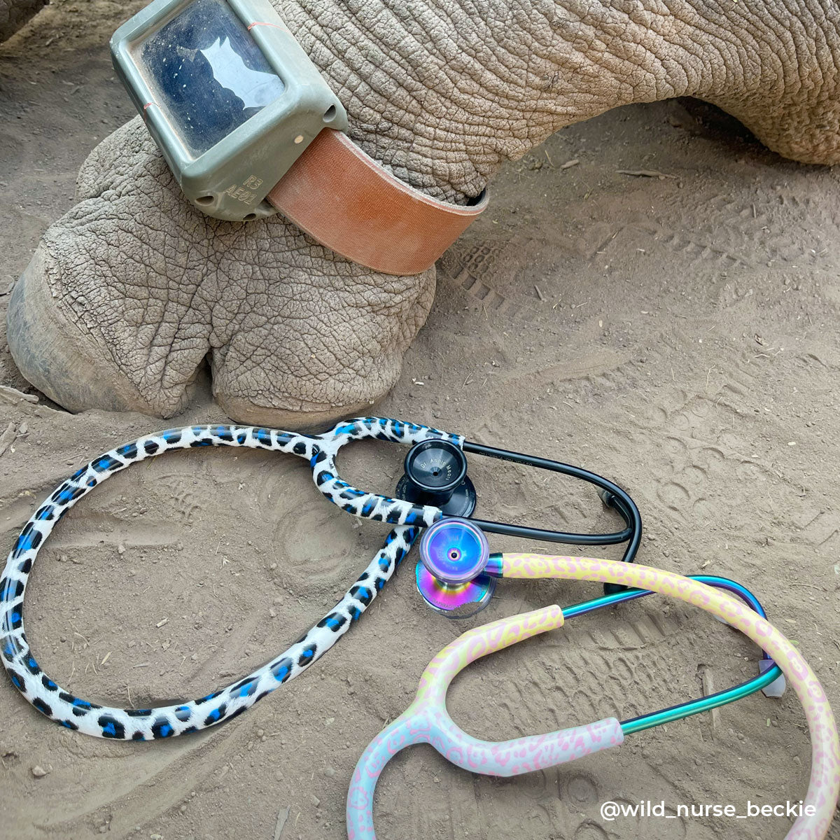 Animal Print Stethoscopes MDF Instruments Uncaged Titanium Stethoscope Collection