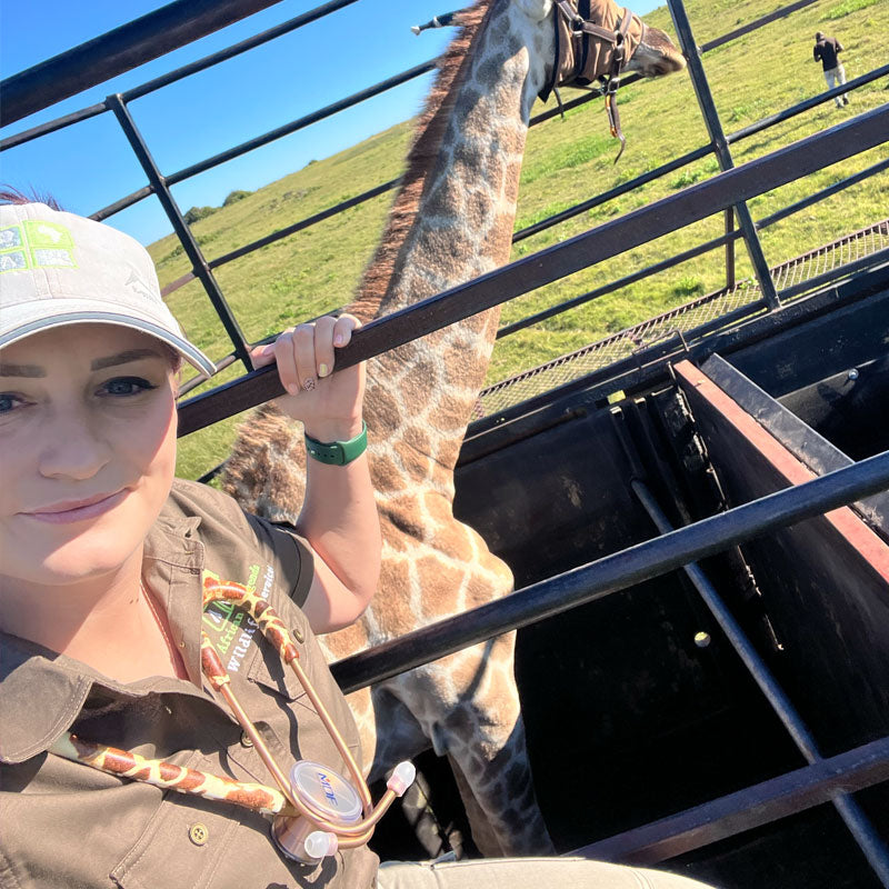 Stethoscope Collection MDF Instruments Mprint Printed Stethoscopes