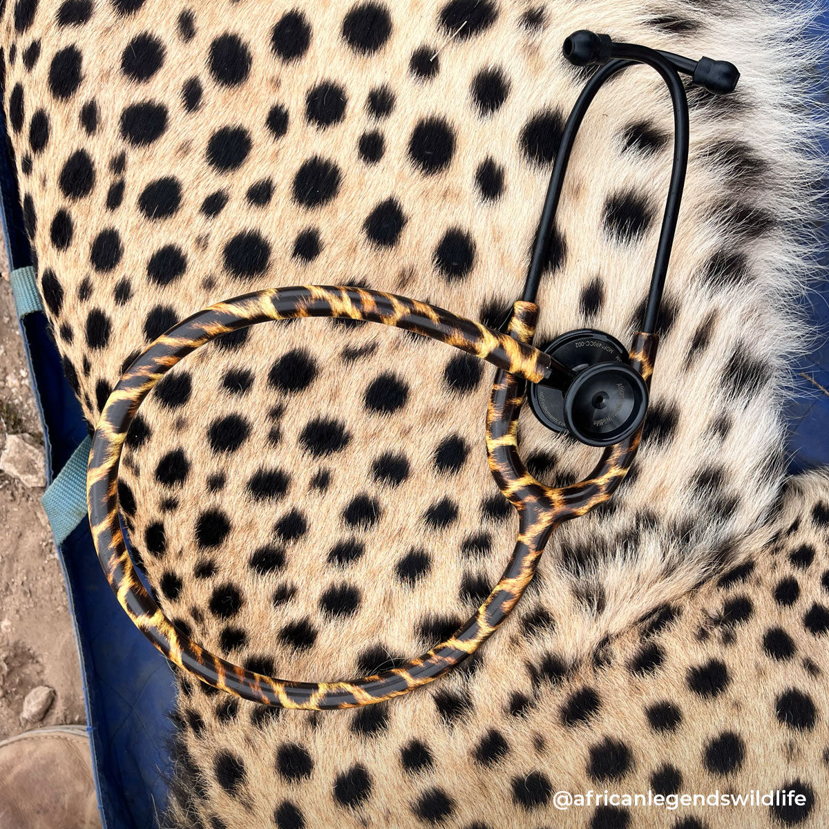 Stethoscope MDF Instruments ProCardial Titanium Cardiology Mprint Leopard Print Cheetah Blackout