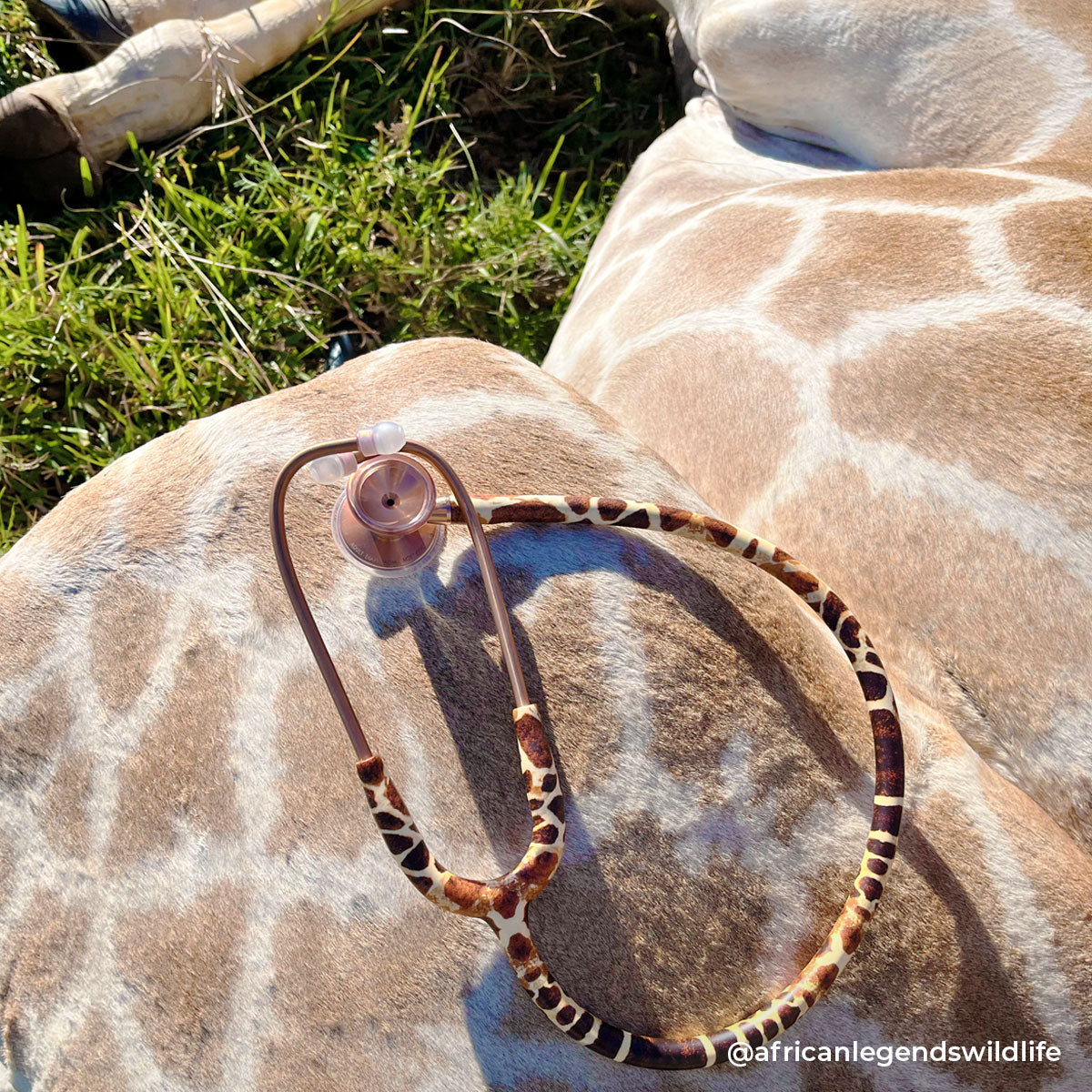 Stethoscope MDF Instruments ProCardial Titanium Mprint Giraffe Print Giraffica and Rose Gold
