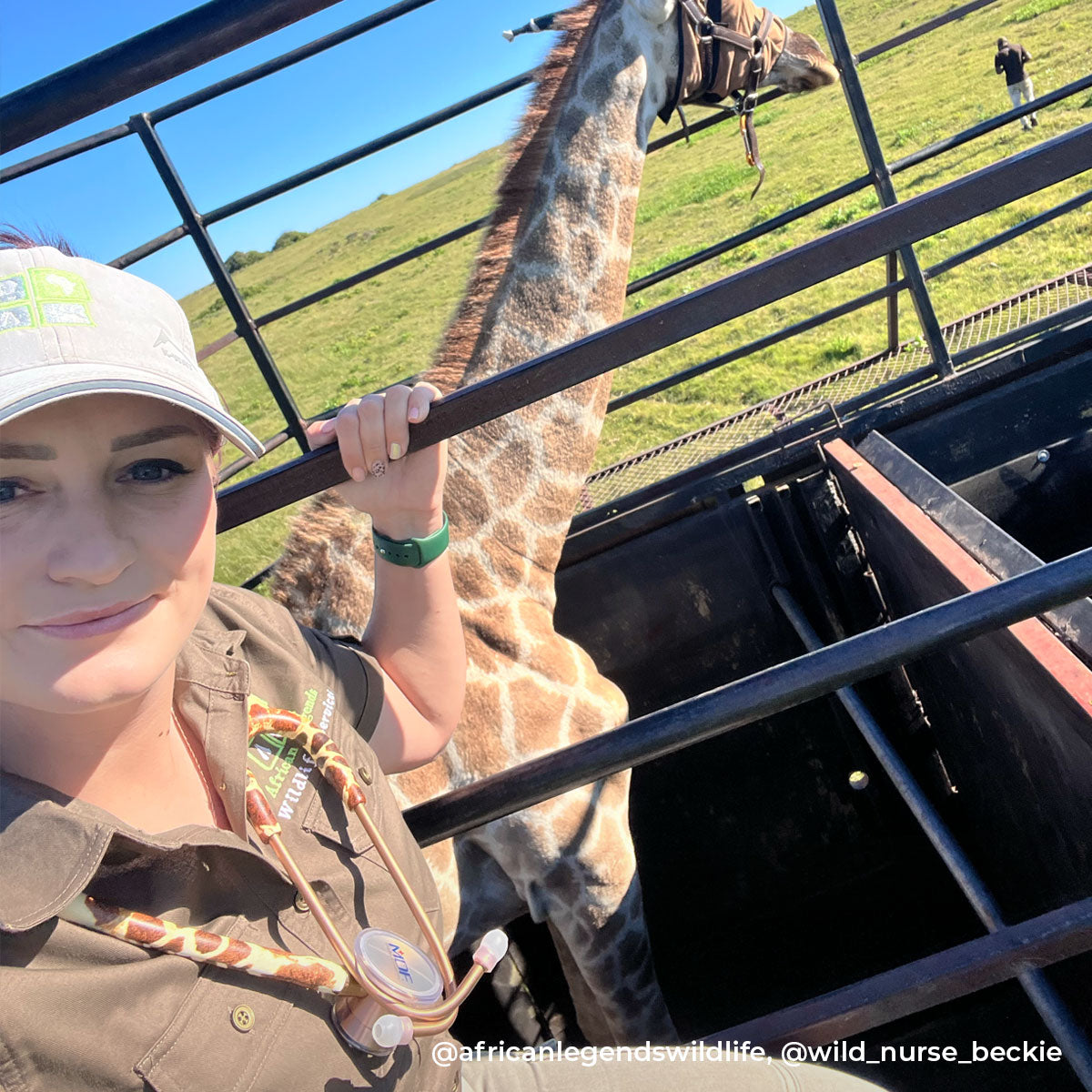 Stethoscope MDF Instruments ProCardial Titanium Mprint Giraffe Print Giraffica and Rose Gold