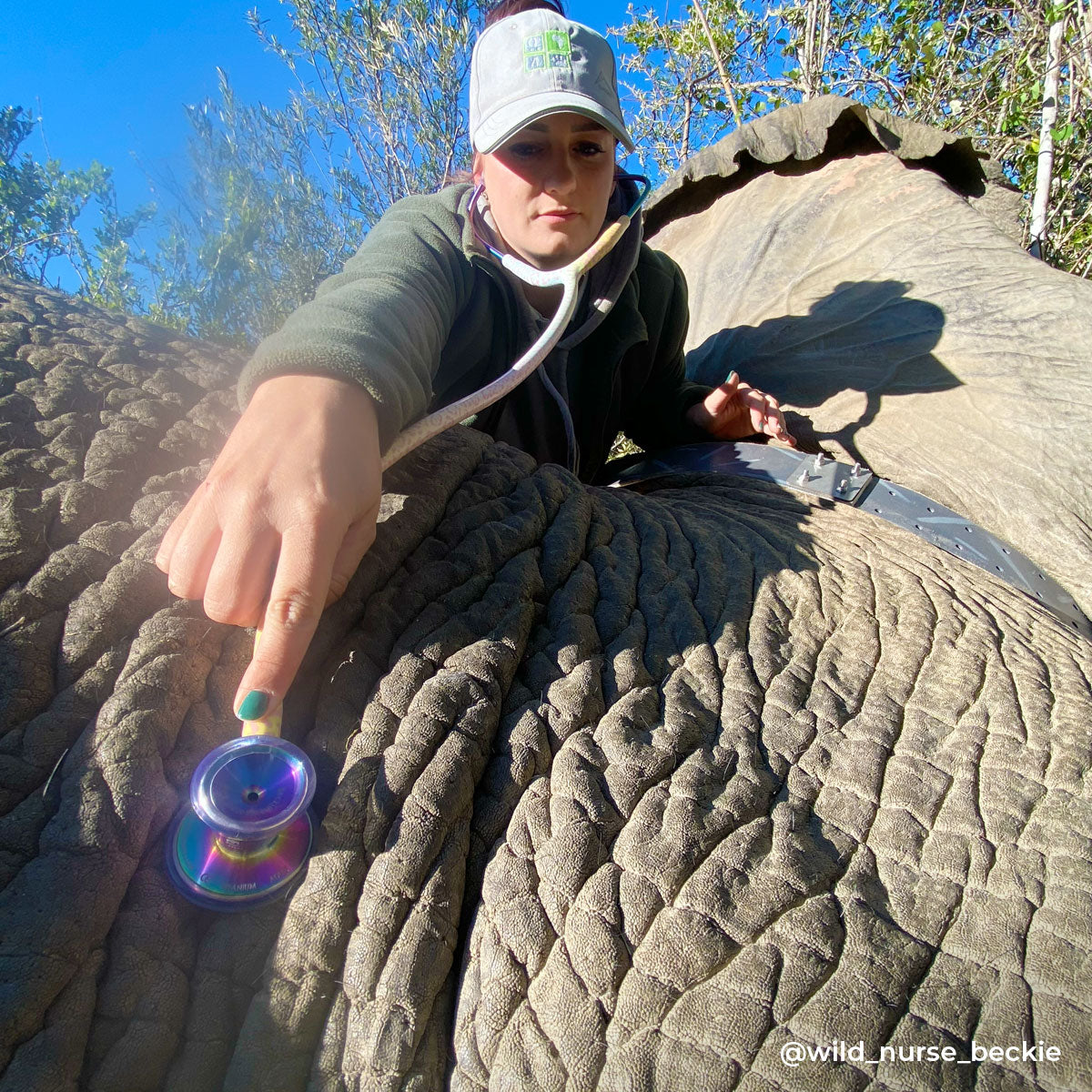 Stethoscope MDF Instruments ProCardial Titanium Mprint Rainbow Leopard and Kaleidoscope