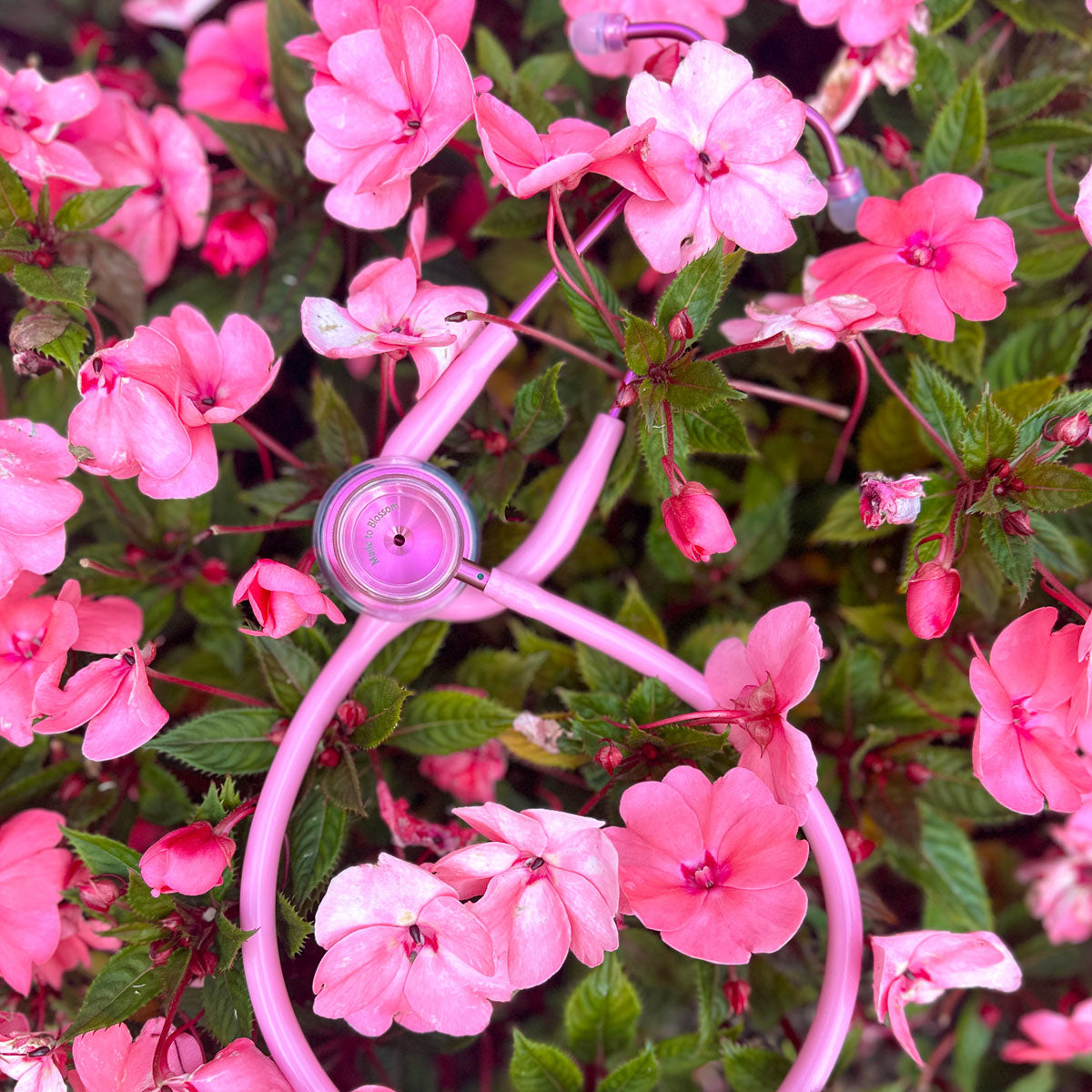 Pink Stethoscope for Medical Professionals MDF Instruments MD One Epoch Titanium Light Pink Tubing and Blossom Metal Finish