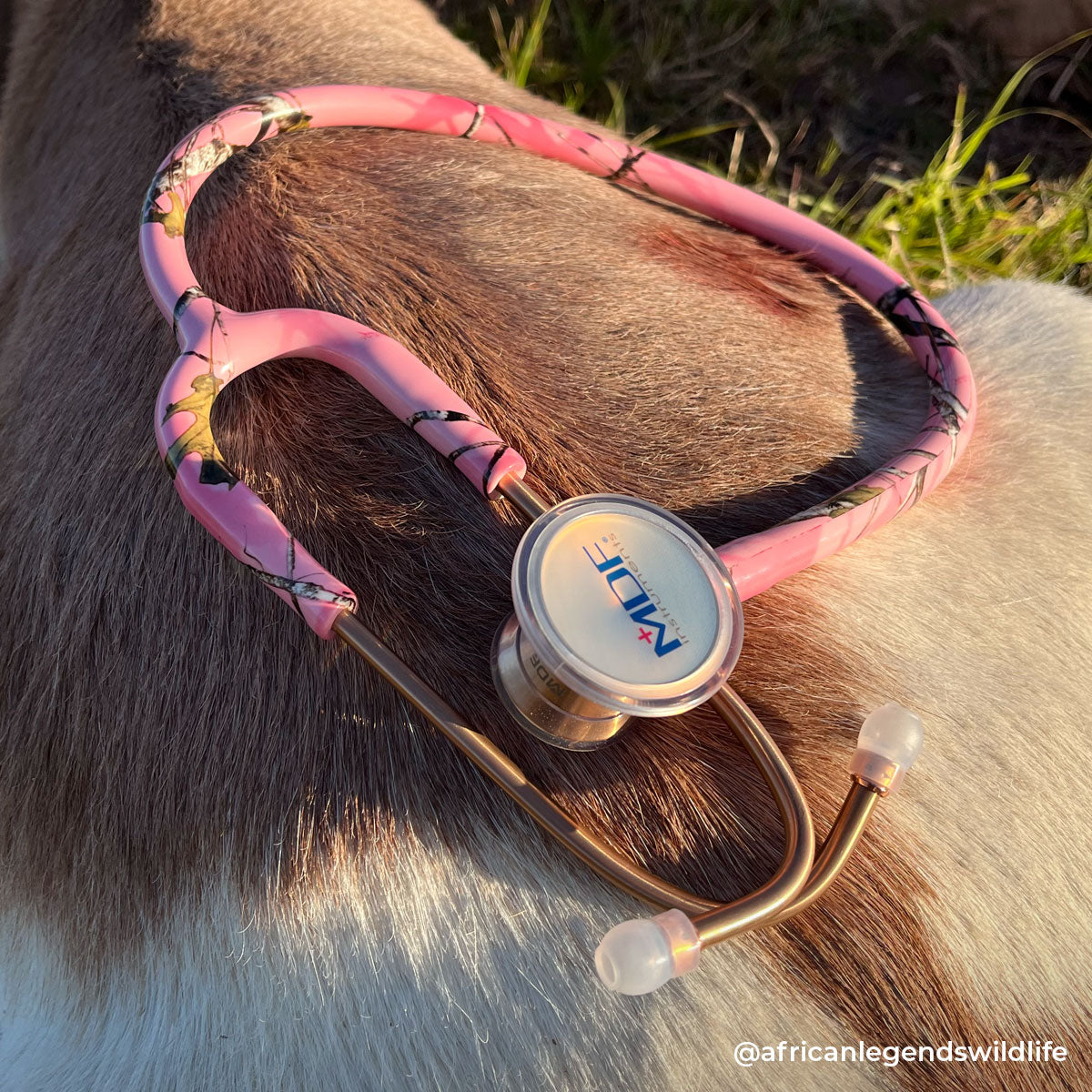 Pink Camo Stethoscope MDF Instruments ProCardial Titanium Cardiology Mprint True Timber Conceal Pink and Rose Gold