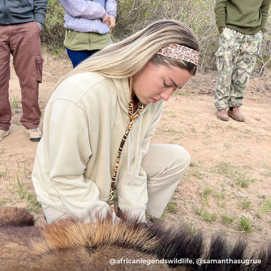 Stethoscope MDF Instruments ProCardial Titanium Mprint Giraffe Print Giraffica and Rose Gold