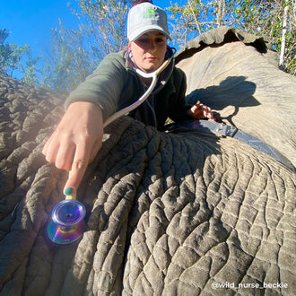 Stethoscope MDF Instruments ProCardial Titanium Mprint Rainbow Leopard and Kaleidoscope