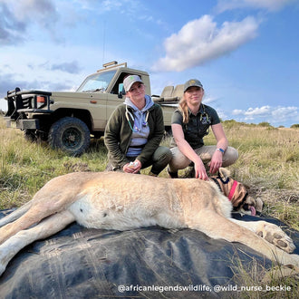 Stethoscope MDF Instruments ProCardial Titanium Mprint Rainbow Leopard and Kaleidoscope