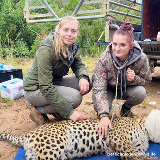 Camo Stethoscope MDF Instruments ProCardial Titanium Mprint Realtree Edge Woods Camouflage BlackOut