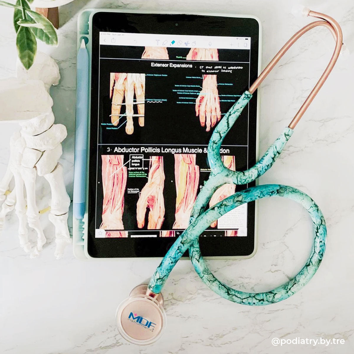stethoscope-mdf-instruments-procardial-titanium-mprint-turquoise-rose-gold-4.jpg__PID:52a50ec3-05a7-4433-9958-c018139cb900