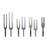 Riester Tuning Forks (According to Hartmann) - MDF Instruments Official Store - Steel / C-2 512 Hz / Without Clamps - Tuning Forks