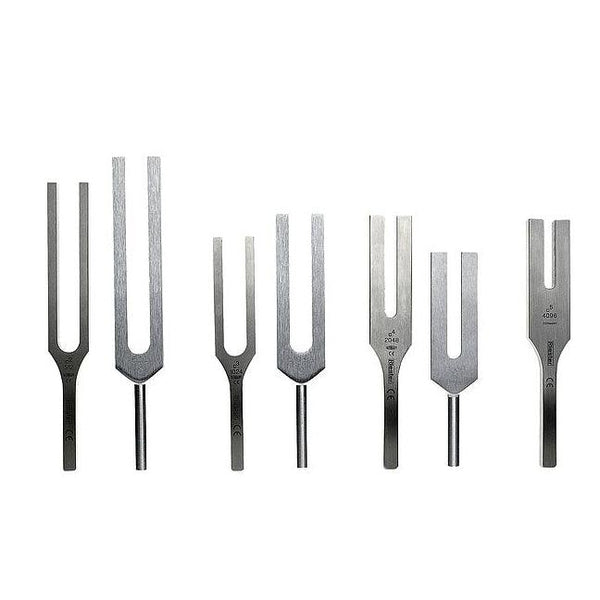 Riester Tuning Forks (According to Hartmann) - MDF Instruments Official Store - Steel / C-2 512 Hz / Without Clamps - Tuning Forks
